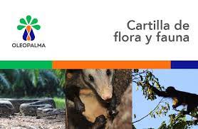 Cartilla de flora y fauna