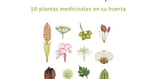 Los secretos de las plantas 50 plantas medicinales en su huerta