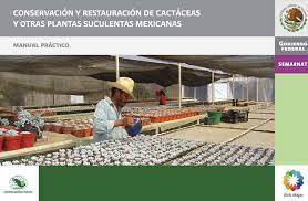 Conservación y restauración de cactáceas y otras plantas suculentas mexicanas