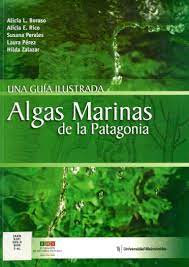 Algas y plantas marinas de la Patagonia Una Guia Ilustrada